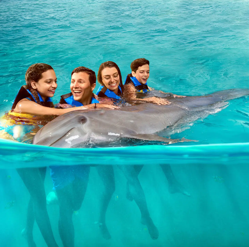 Next Level Caribbean