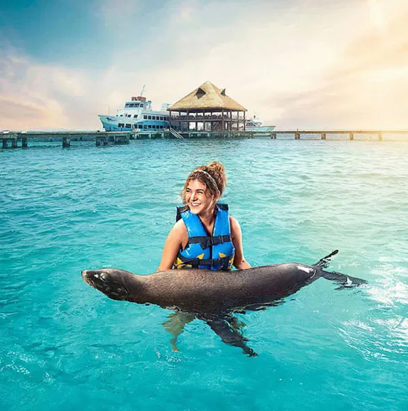 Next Level Caribbean