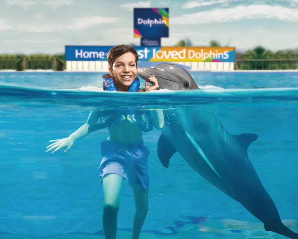 Next Level Caribbean